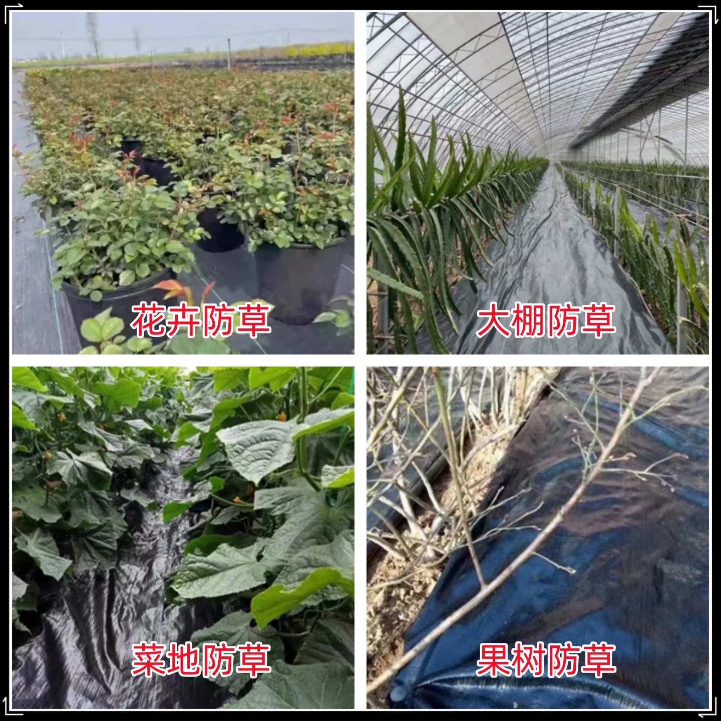 淮安市果树反光膜防草布 - 排名