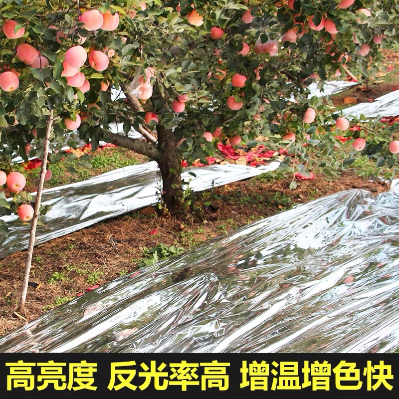 淮安市防草布果树反光膜 - 一站式服务